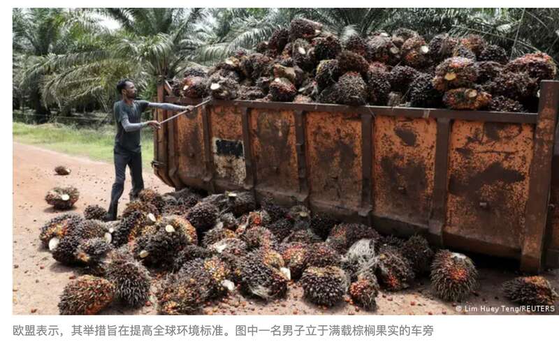 马来西亚计划大幅提高对中国的棕榈油出口